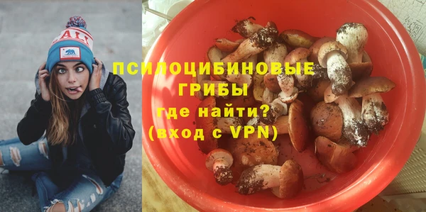 ALPHA PVP Арсеньев