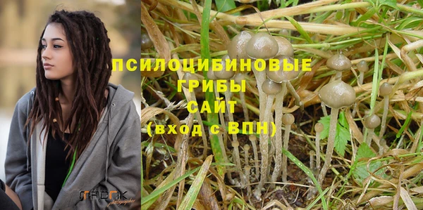 spice Аркадак