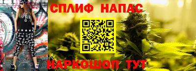 каннабис Кингисепп