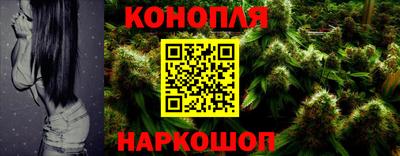 каннабис Кингисепп