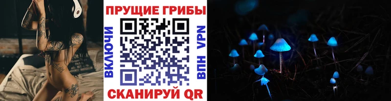 MEGA зеркало  как найти закладки  Красногорск  Псилоцибиновые грибы Cubensis 