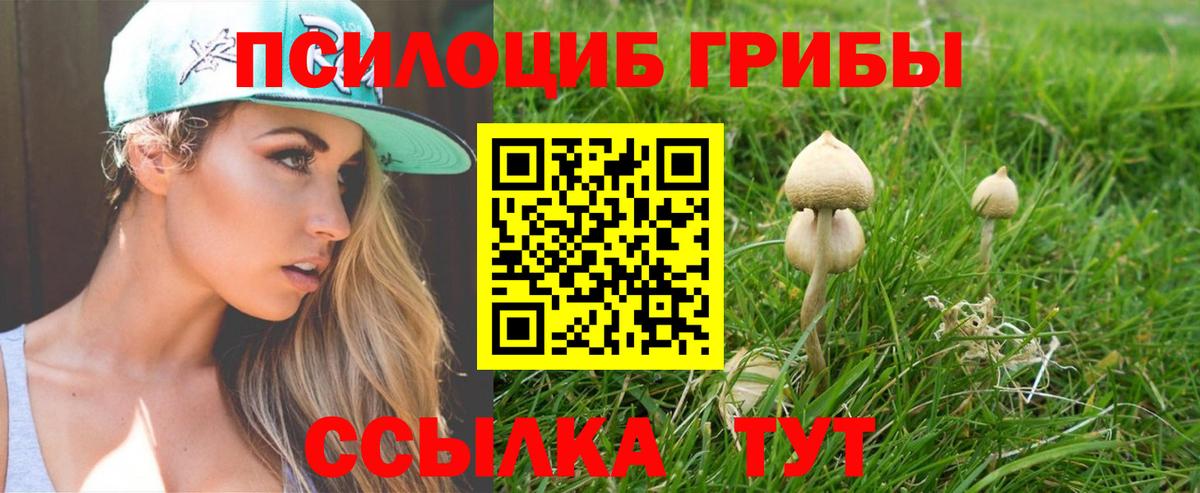 Псилоцибиновые грибы MAGIC MUSHROOMS Красногорск